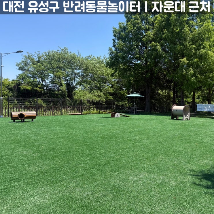 대전 유성구 반려동물놀이터 후기｜<b>자운대</b> 근처, 주차... 