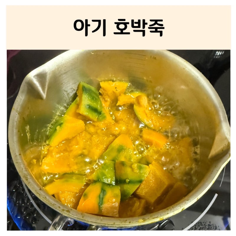 [ 무염 유아식 ] 아기 호박죽 만들기