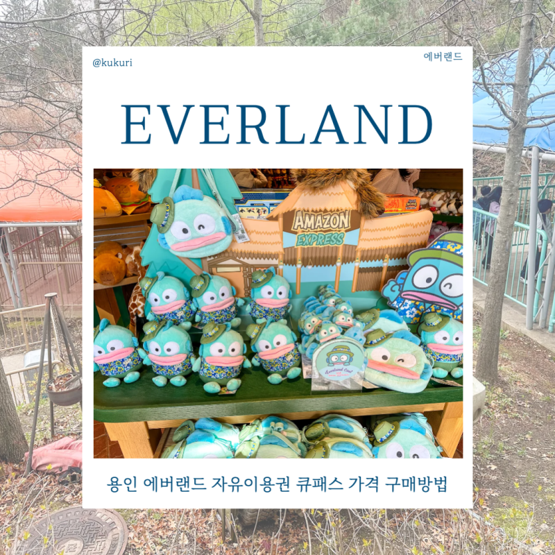 용인 에버랜드 자유이용권 큐패스 가격 구매방법 여름축제 정보