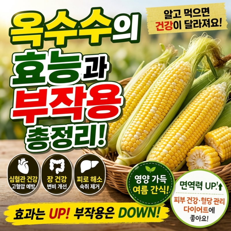 옥수수의 효능, 맛있게 먹는 방법부터 보관법까지