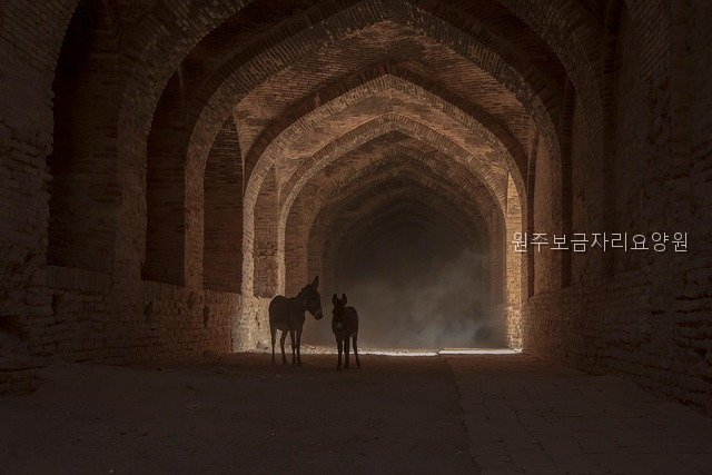 원주보금자리요양원 사진 5