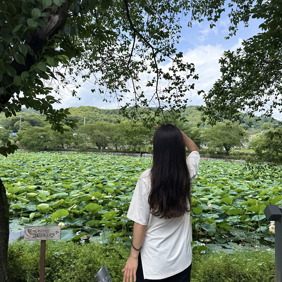골정지 사진 3