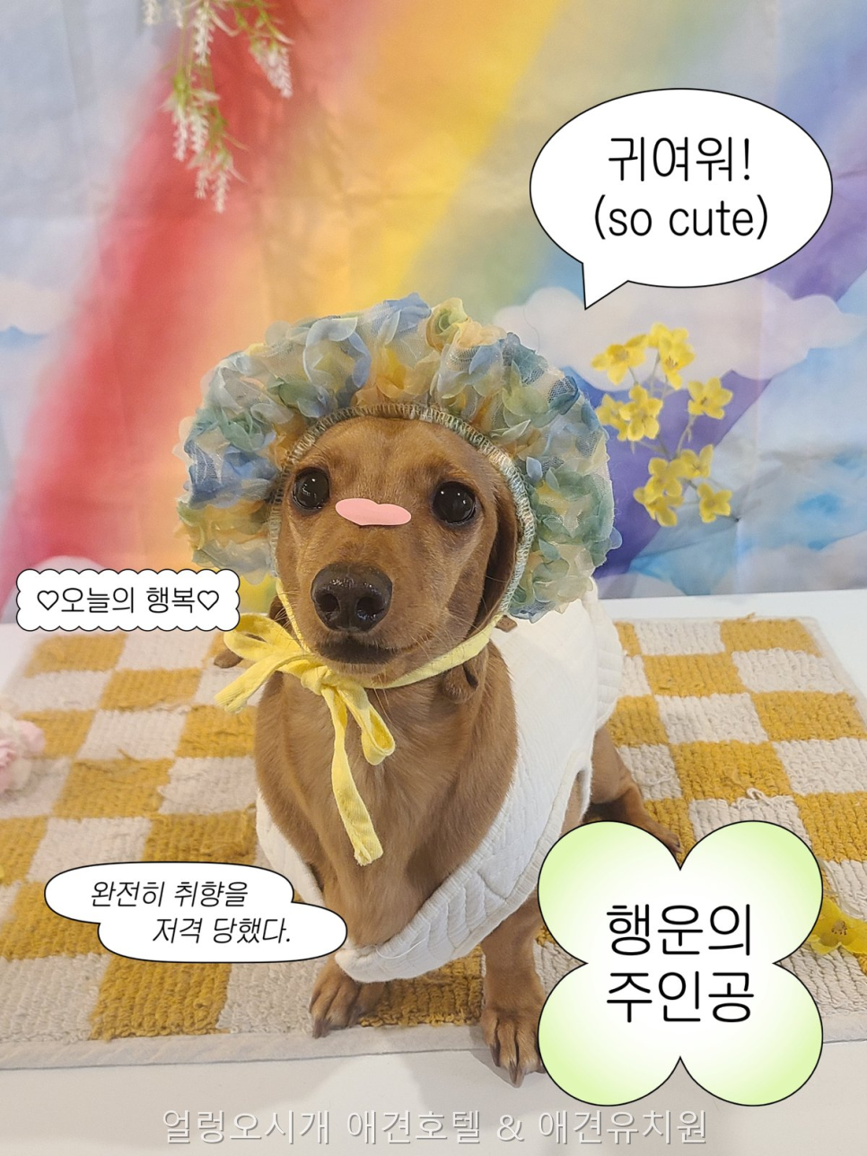 얼렁오시개 사진 3