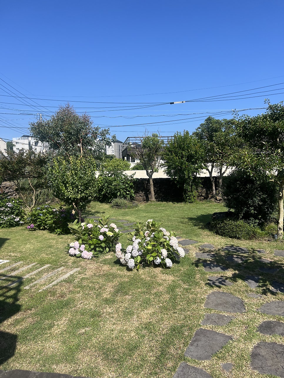 슬로우리제주 사진 5