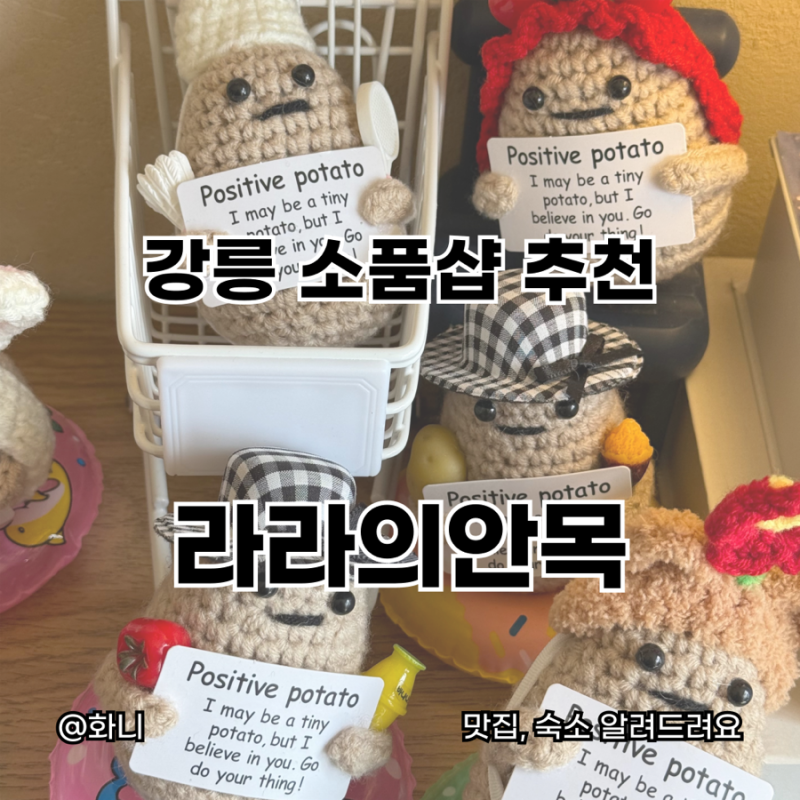 강릉 소품샵 추천 라라의안목 감자키링 너무 귀엽다