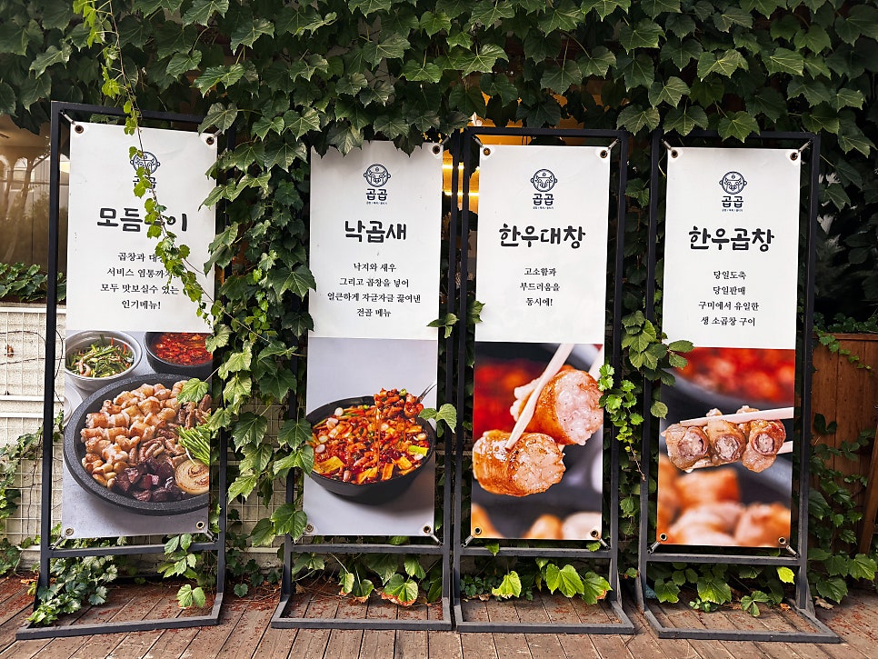 곱곱 사진 3
