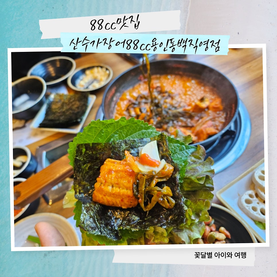 산수가장어 사진 1