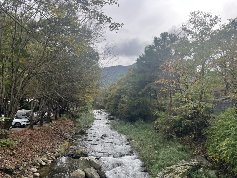유명산258 사진 6
