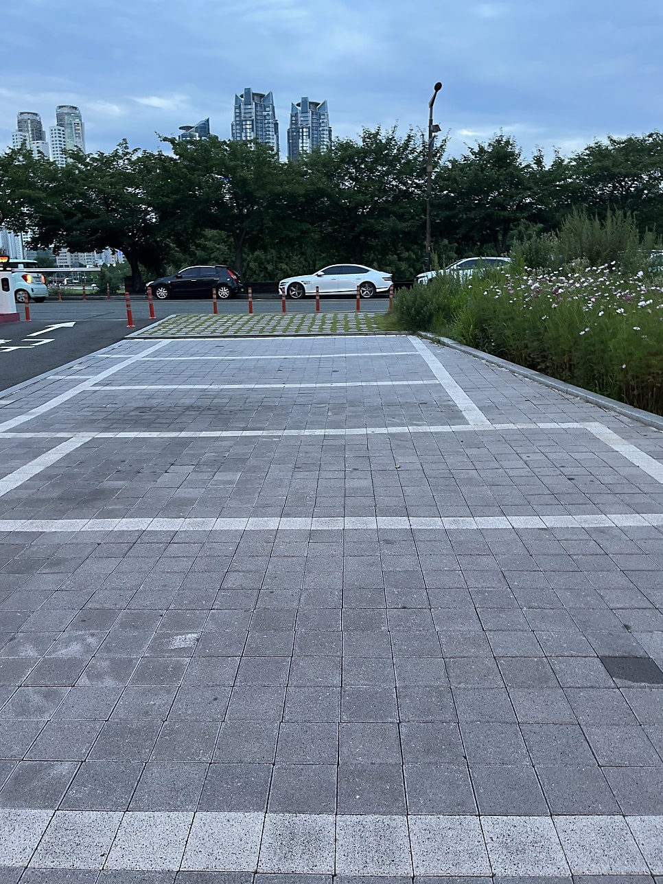 꼴라보꼴라쥬 사진 4