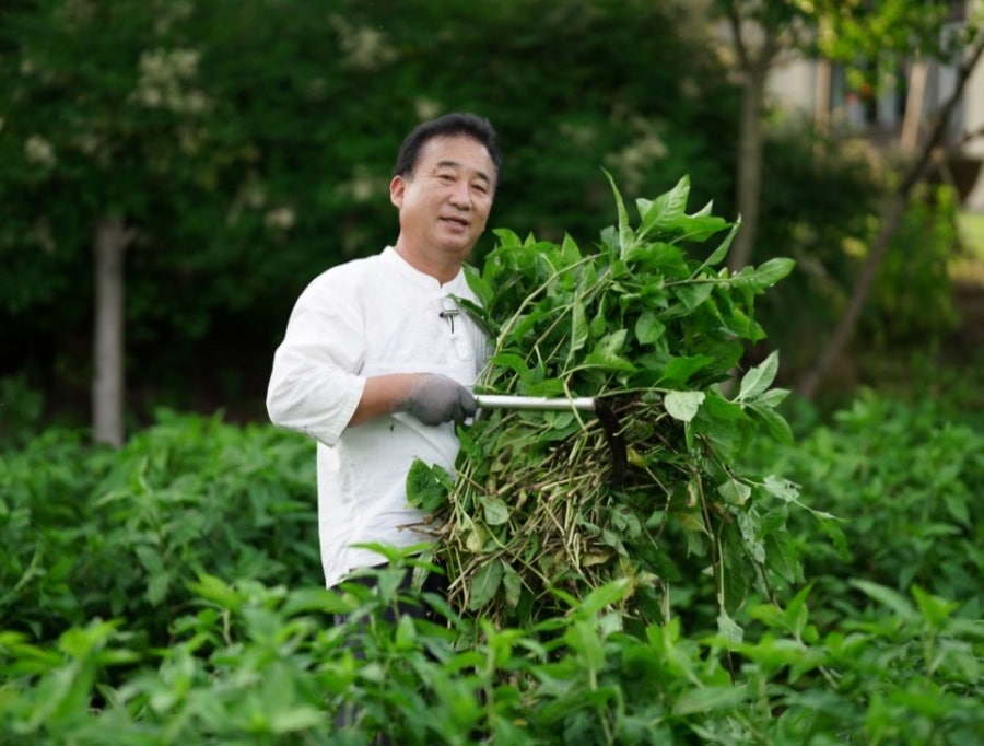 샛골 사진 5