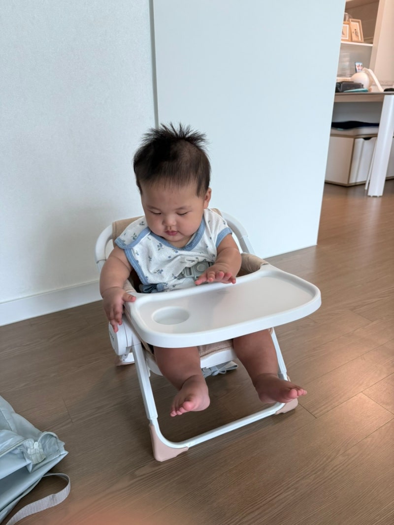 [휴대용 부스터] 8개월 아기 엔픽스 하이브리드 플러스 접이식 여행용 이유식 의자 뉴트럴베....