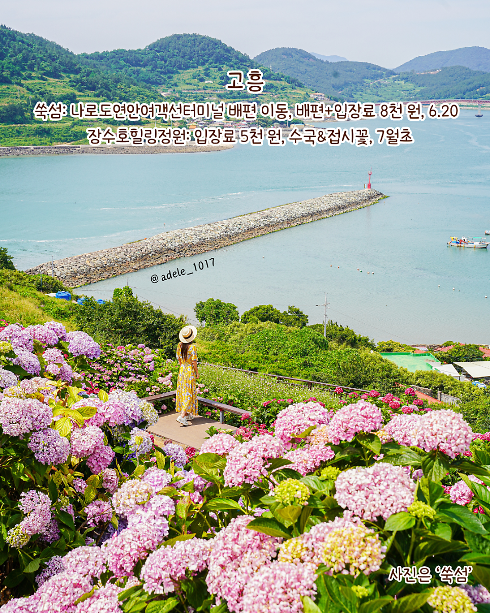 작은숲 사진 3
