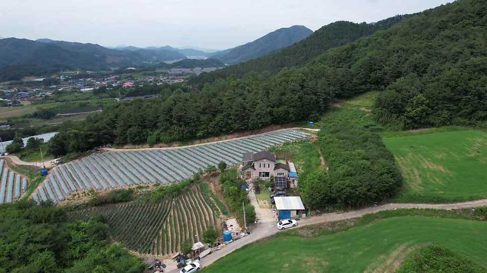 대덕산 사진 4