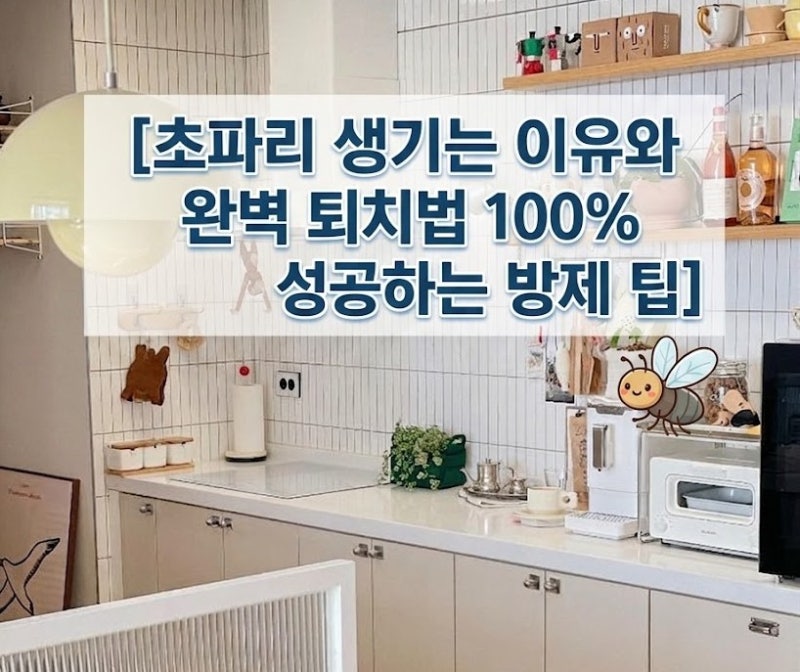 [초파리 생기는 이유]와 완벽 퇴치법 싱크대 관리 및 트랩 만들기