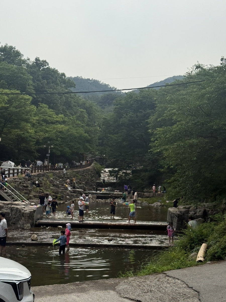 돌담집식당 사진 2