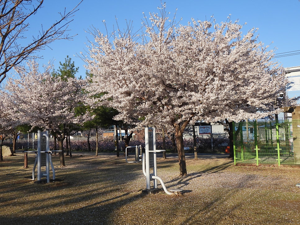 만불산 사진 2
