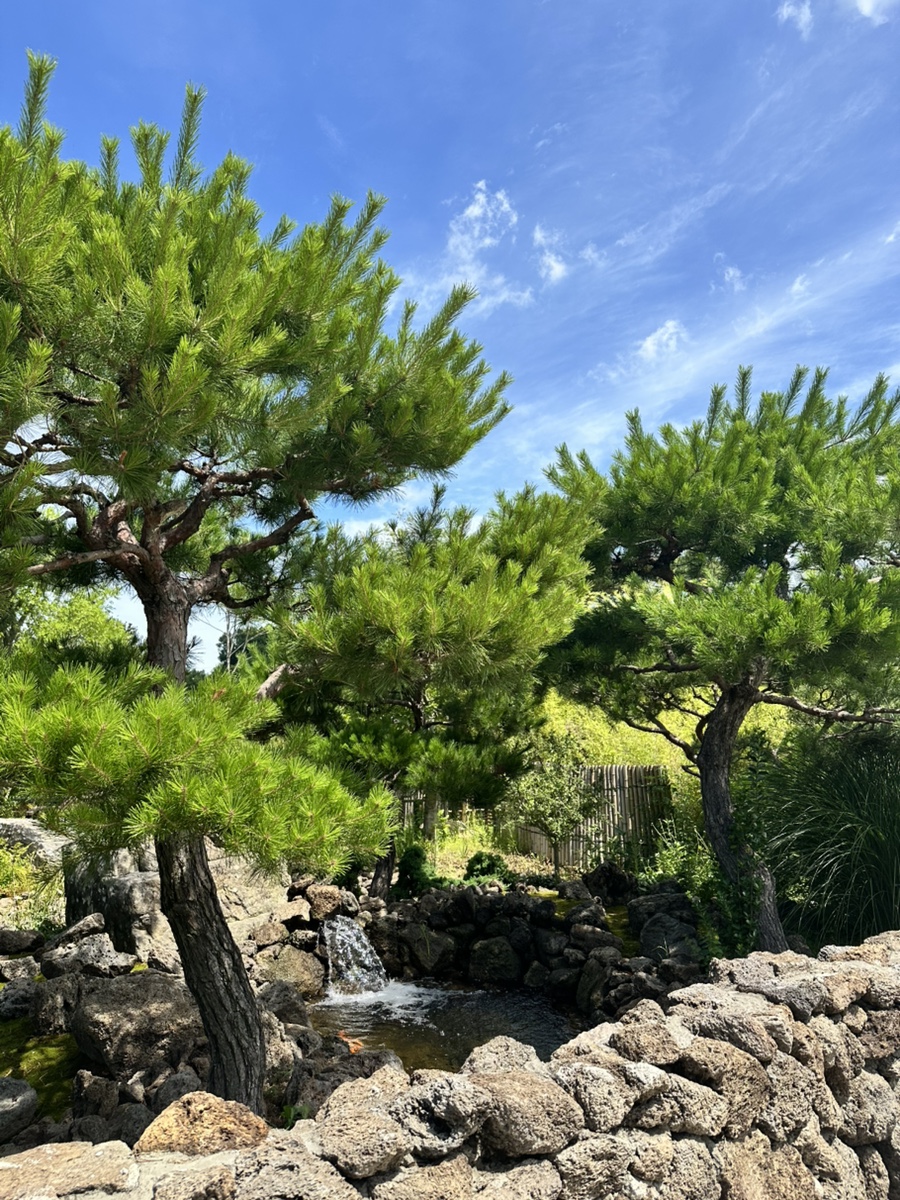 서라온 사진 1