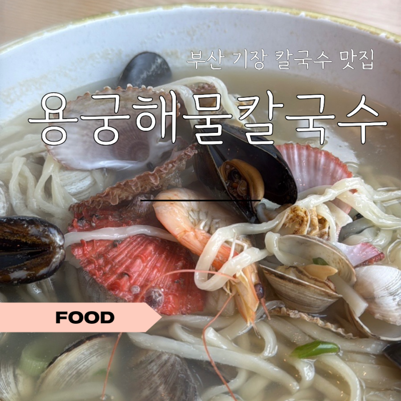 기장 이케아 근처 맛집 용궁해물칼국수 후기 | 조개 가득 해물칼국수 점심 추천
