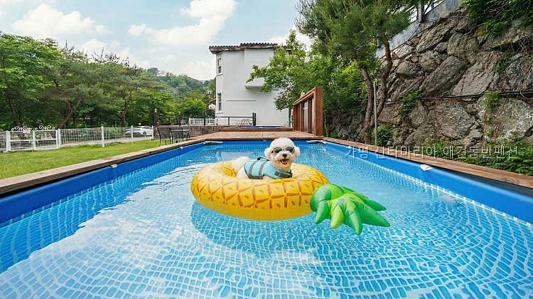 산타마리아펜션 사진 1