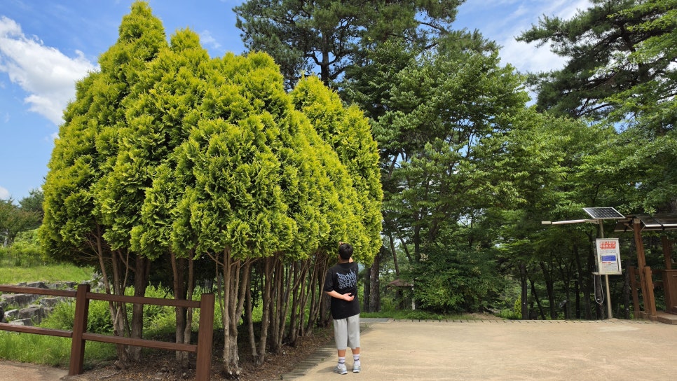 금성산생태숲 사진 4