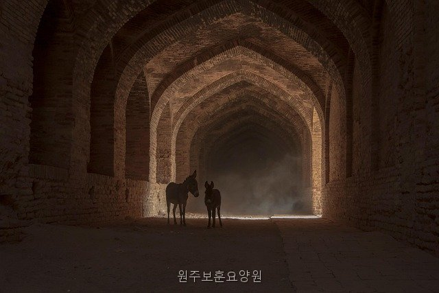 보은요양원 사진 5