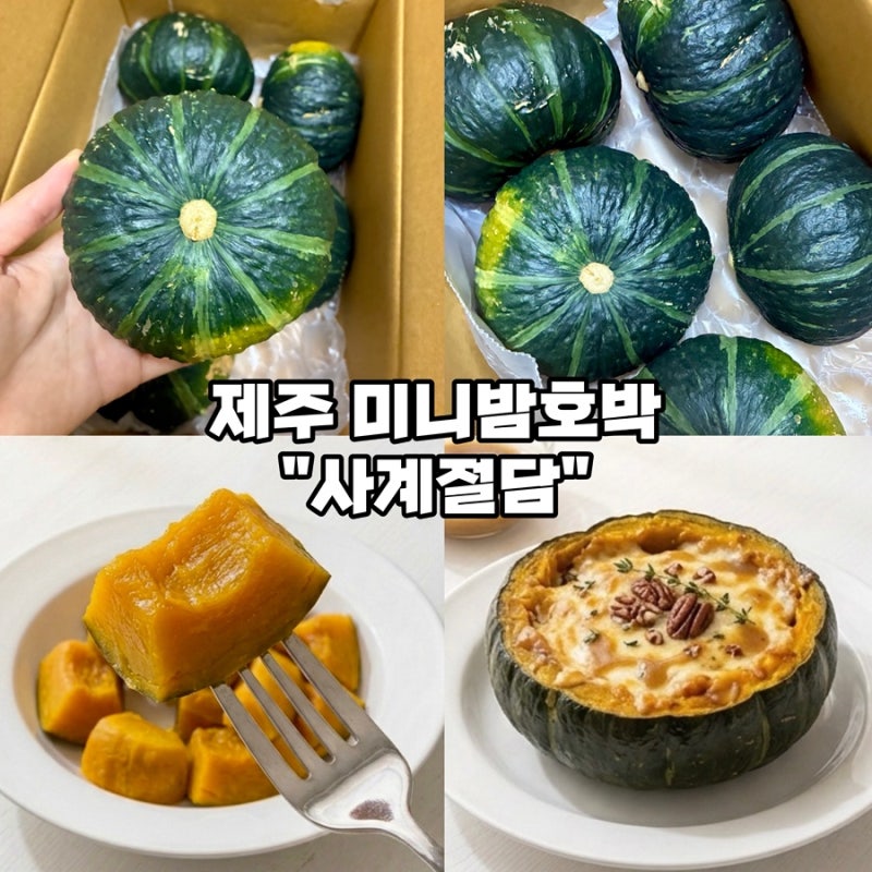 [제주 미니밤호박 추천-사계절담] 달콤하고 포슬포슬한 제주 미니밤호박 후기
