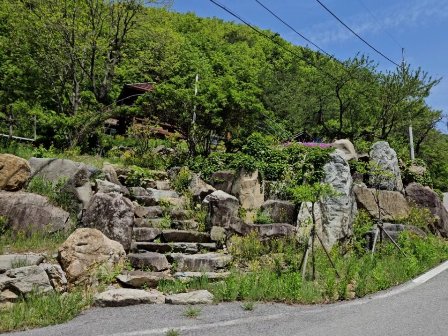 약초산방 사진 6