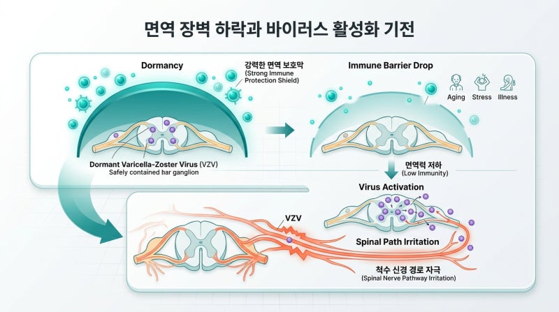 대상포진 초기증상 예방, 면역력 저하 신호와 예방접종 시기 추천