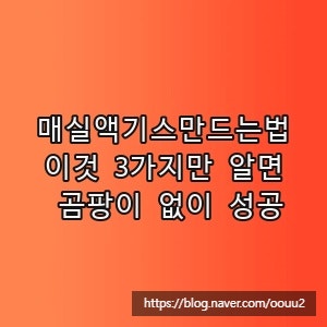 매실액기스만드는법, 이것 3가지만 알면 곰팡이 없이 성공