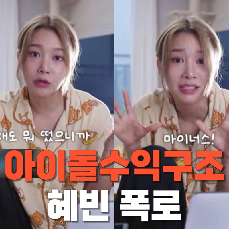 아이돌은 정말 돈을 많이 벌까? 모모랜드 혜빈이 말한 정산 구조