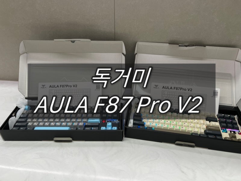 [리뷰] 또 구매한 AULA F87 Pro V2 독거미 키보드 (저소음 바다축)