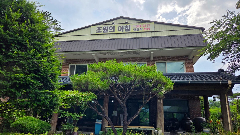 초원의아침 사진 4
