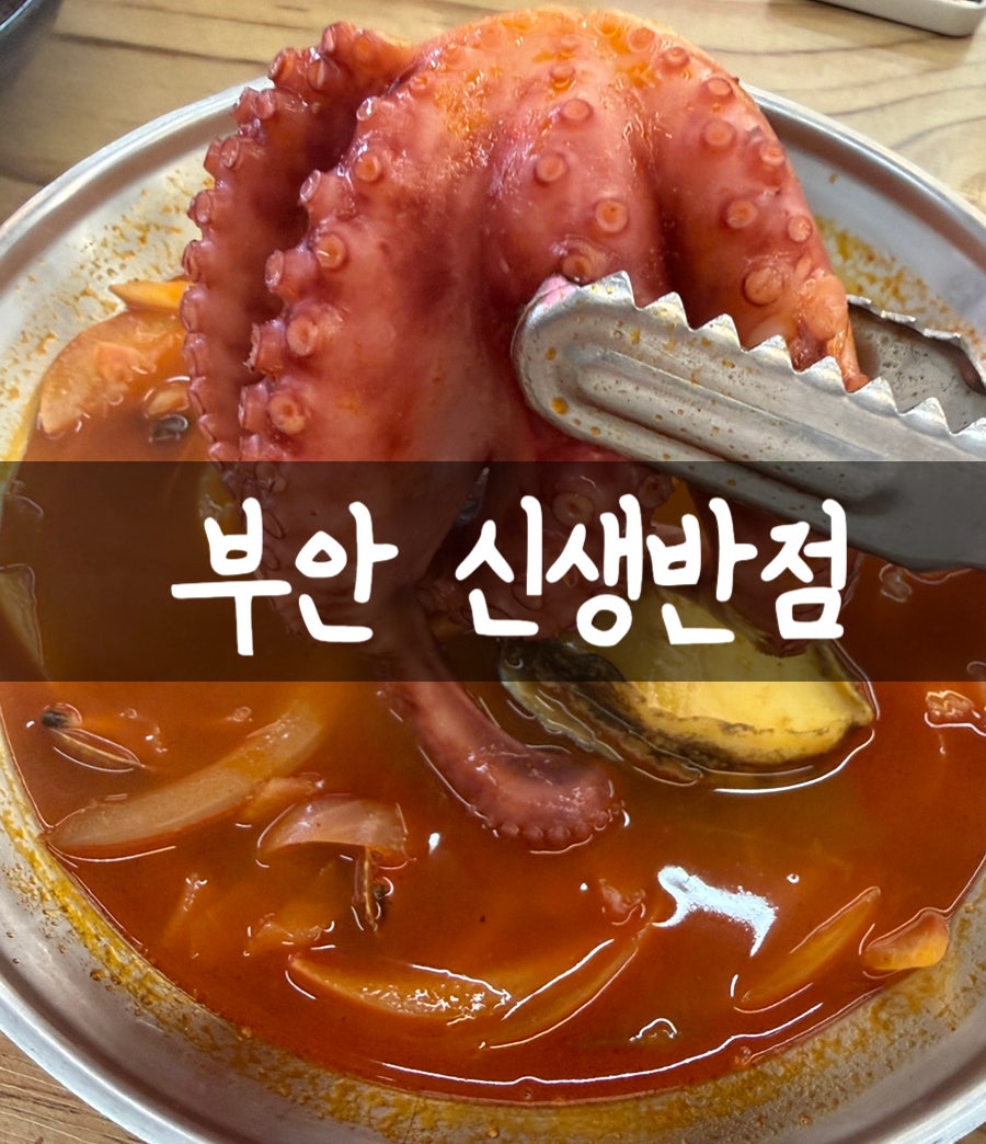 신생반점 사진 1
