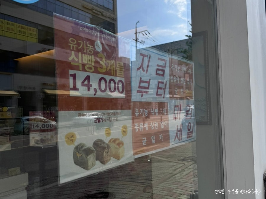 호야호야 사진 6