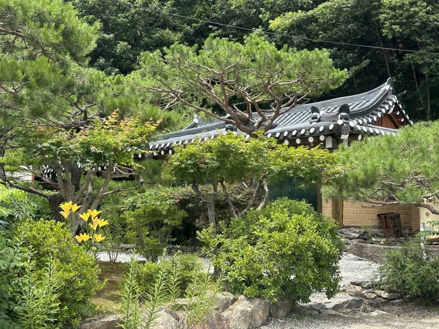 머무름막국수 사진 6