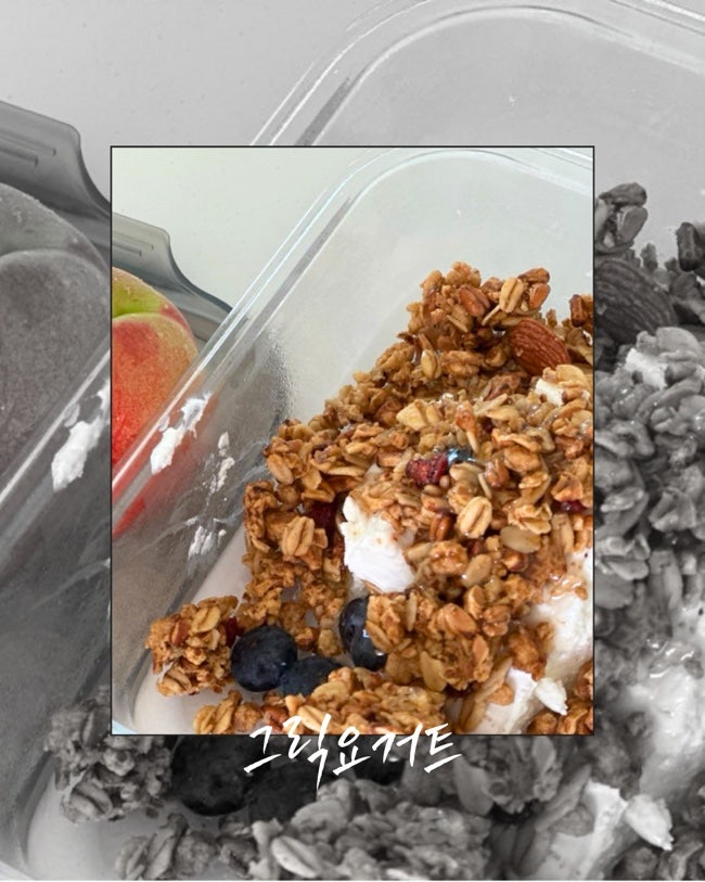 보만 요거트메이커 아임뉴트리 그릭요거트 스타터 셀프 만들기