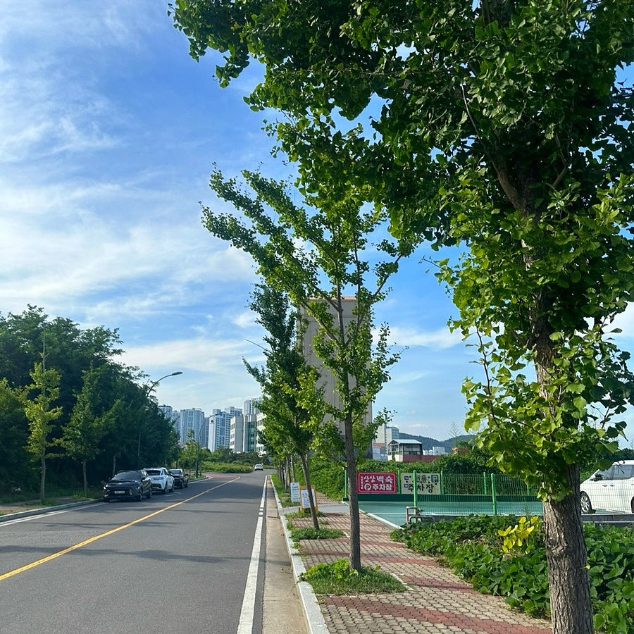 구워먹는포장촌 사진 3