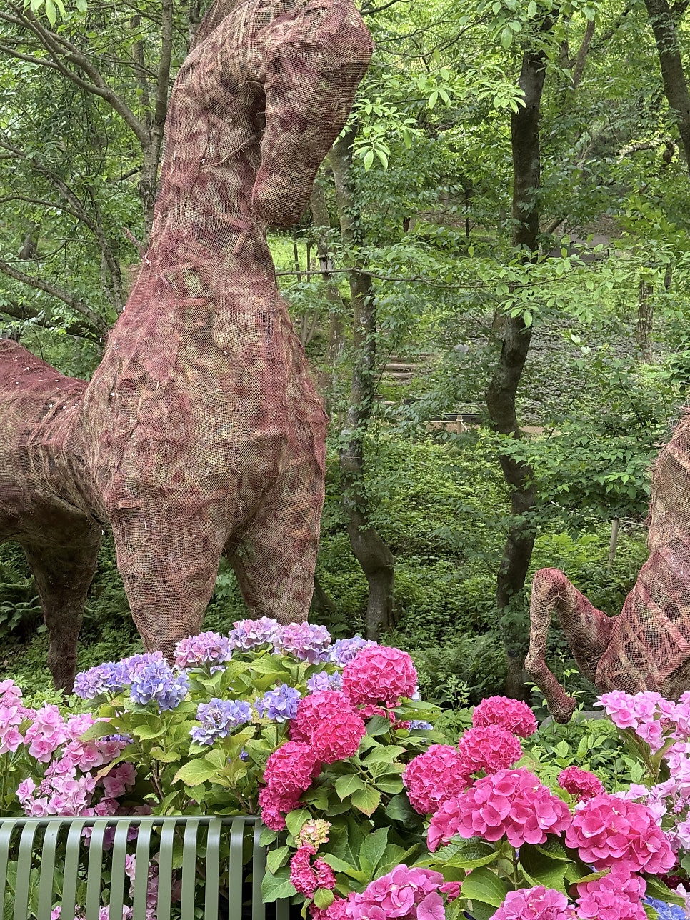 굴봉산 사진 5