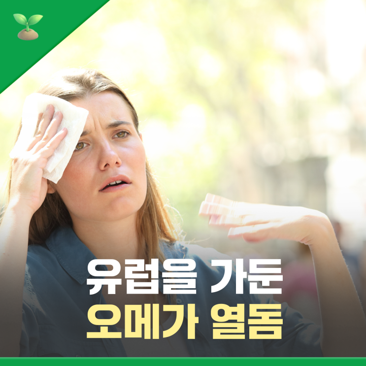 폭염에 갇힌 유럽, '오메가 <b>열돔</b>'이 뭐길래?
