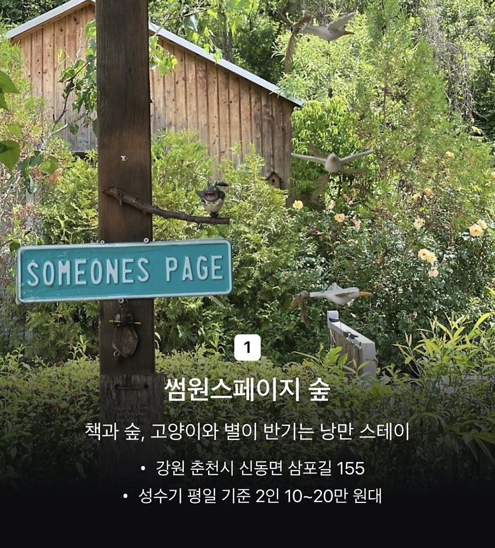 북스테이 썸원스페이지숲 사진 2