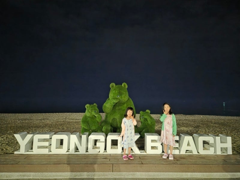 Gangneung Yeongok Beach Solhyanggi Campground: Auto Camping with Kids, E501 E504 Mid-Season Visit Review