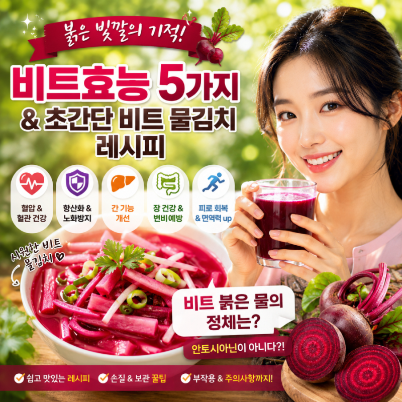 붉은 빛깔의 기적, 비트효능 5가지와 초간단 비트 물김치 레시피