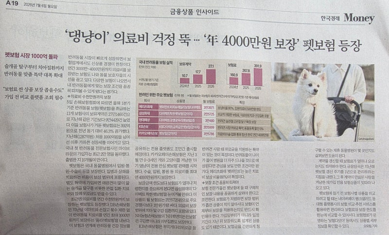 [2026. 7. 6.] 오늘의 신문 리뷰 - '댕냥이' 의료비 걱정 뚝.. 年 4000만원 보장 펫보험 등장