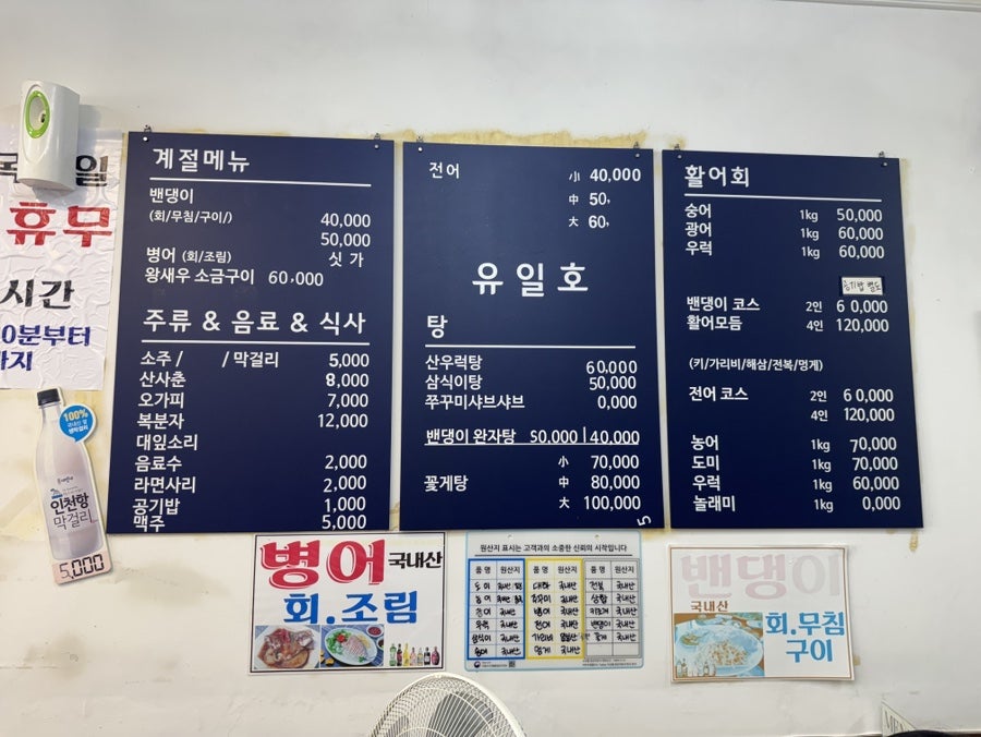 유일8호 사진 5