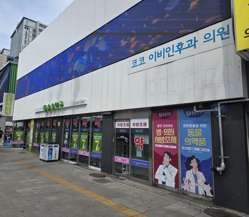 종로약국 에크논 최저가 연고 쇼핑& 광장시장 나들이 (온유약국 에크논 가격후기)