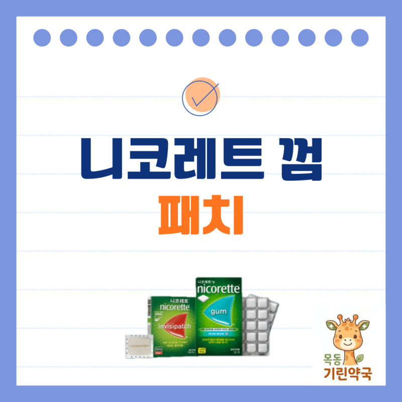 니코레트 껌 & 패치 완벽 가이드