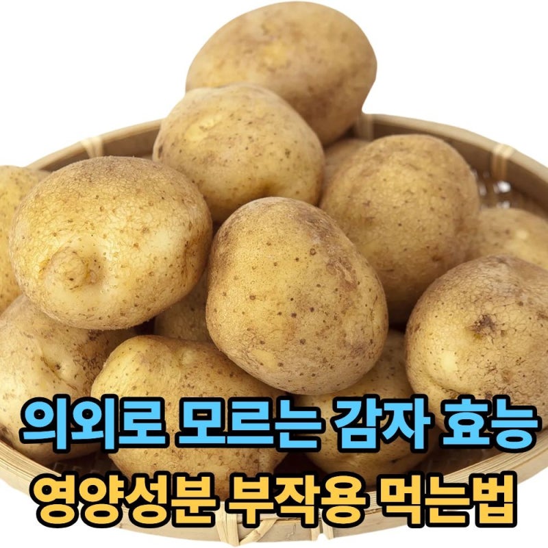 감자 효능 5가지, 의외로 많은 사람이 모르는 건강 효과와 부작용, 먹는방법