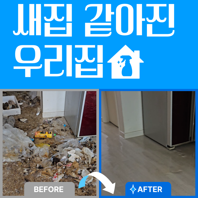 반려동물 특수청소, 고양이 똥 오줌 냄새 제거 방법 공개!