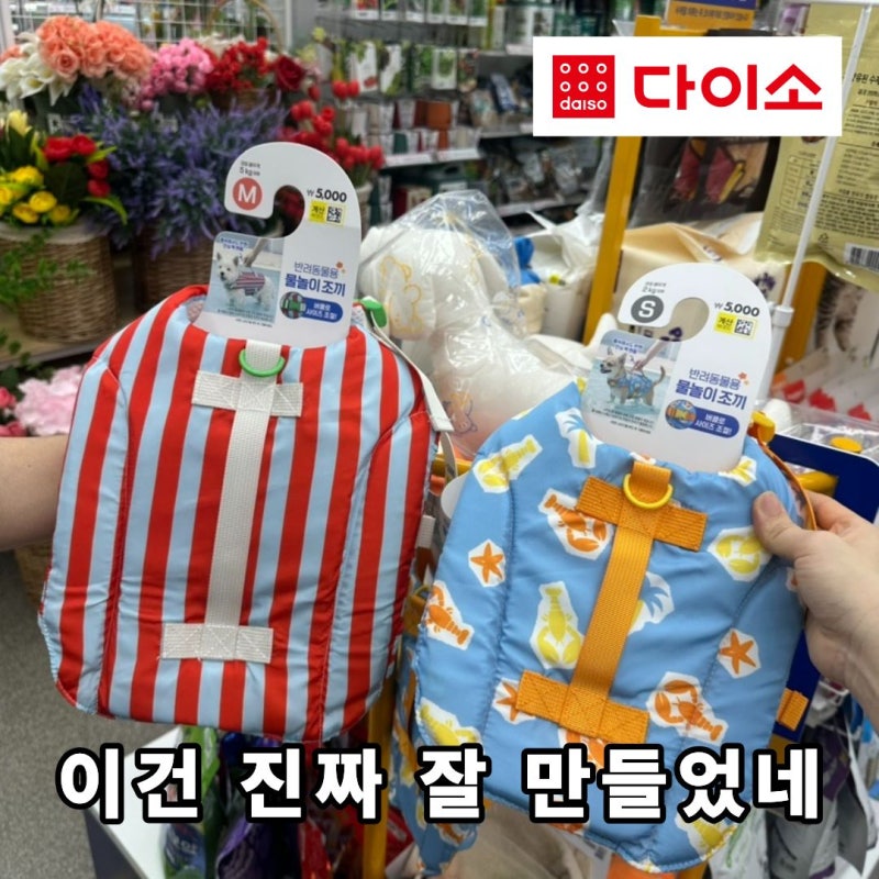 다이소 강아지 구명조끼 직접 봤는데 '딱 하나' 아쉬운 점이 있었어요