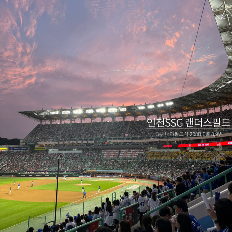 인천SSG 랜더스필드 3루 내야 필드석 208B블럭 E열 8번,9번시야 및 먹거리 크림새우,망고빙수 ....